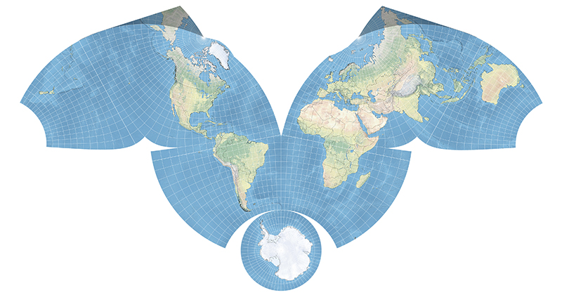 bird projection - 800.jpg